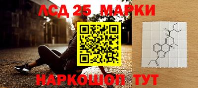 меф Краснознаменск