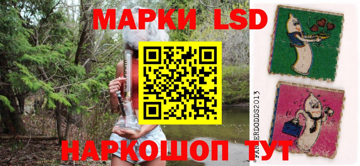 Елизово  Наркотические марки  Вход с VPN  закладки  Наркотические марки 1500мкг 