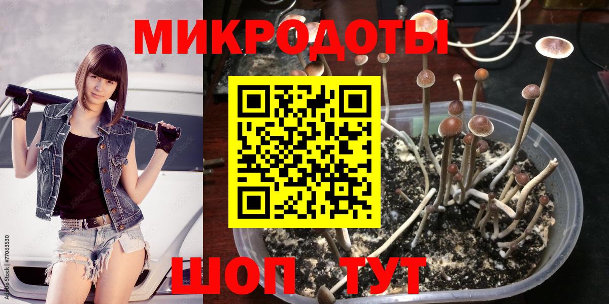 купить наркотики сайты  Псилоцибиновые грибы мицелий  Вход с VPN  Галлюциногенные грибы Magic Shrooms  Елизово 
