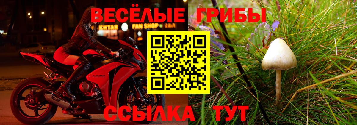 Псилоцибиновые грибы GOLDEN TEACHER Елизово