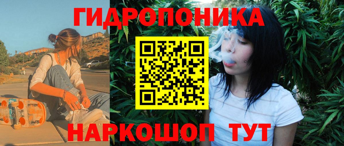 Конопля Amnesia  Марихуана планчик  Вход с VPN  Елизово  Канабис OG Kush  Каннабис THC 21% 
